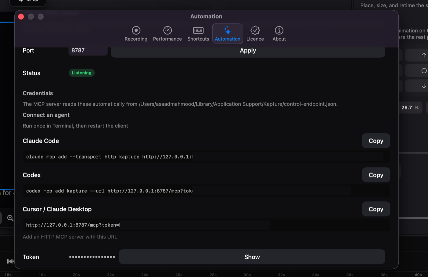 The Automation pane in Settings: status, ready-made connect commands, and the token.