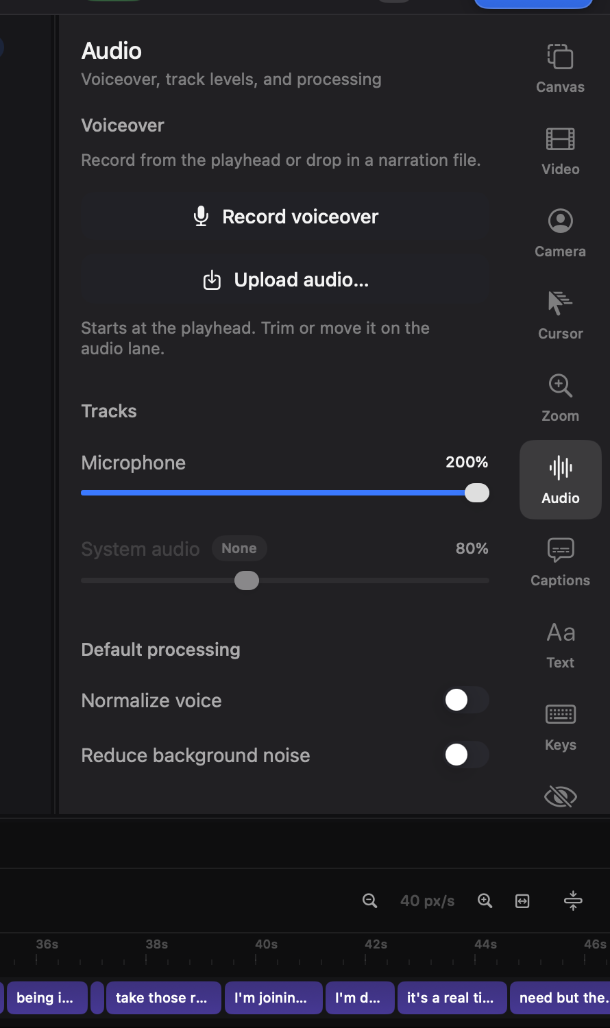 The Audio tab.