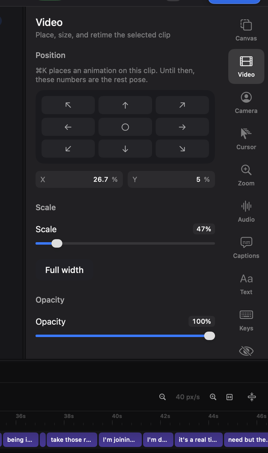 The Video tab for a selected clip.